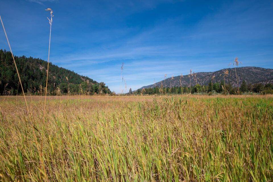 9. Land for Sale at Moccasin Ridge Road, Clinton, Montana 59825 United States