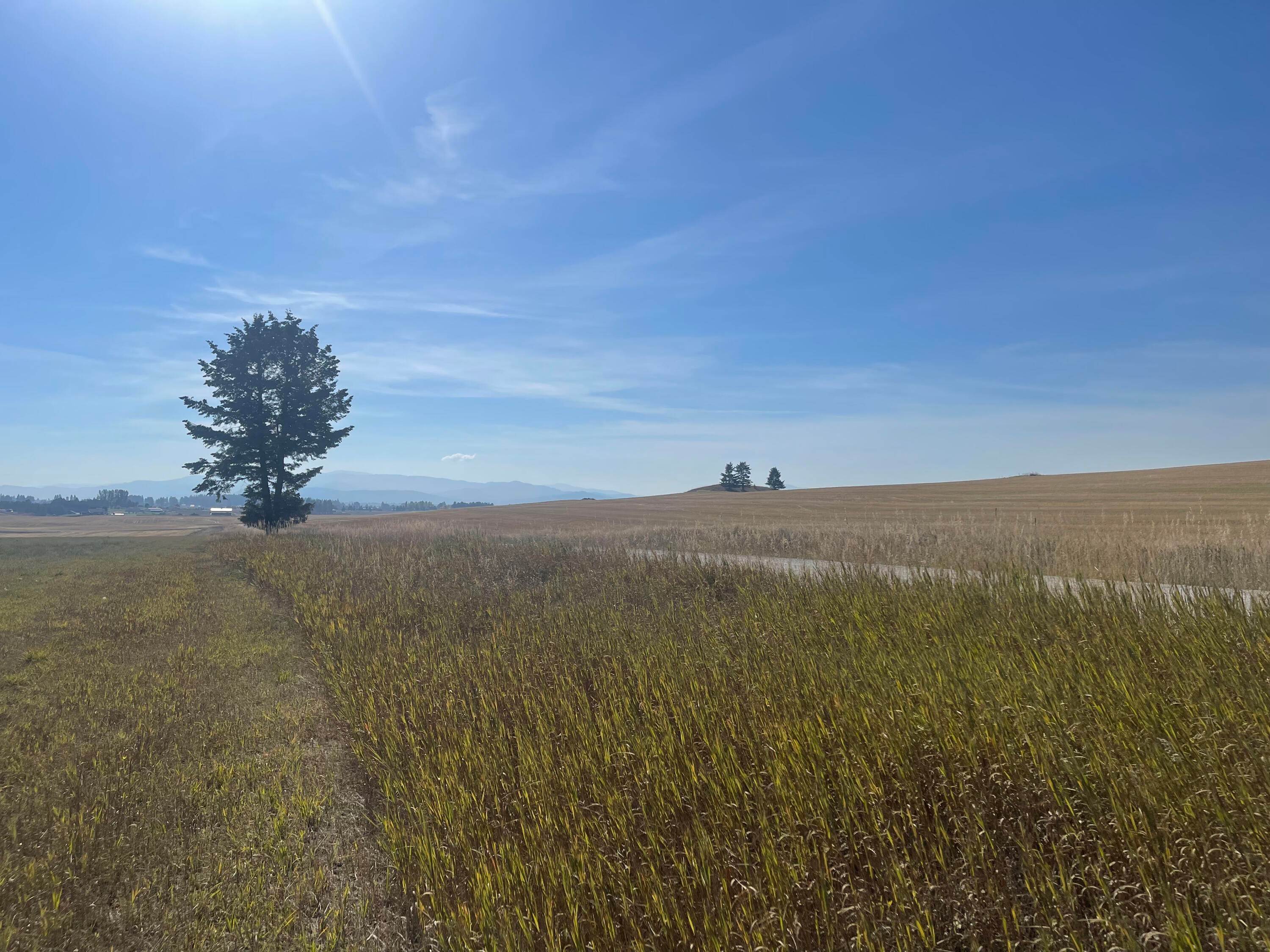 6. Land for Sale at Schrade Road, Kalispell, Montana 59901 United States