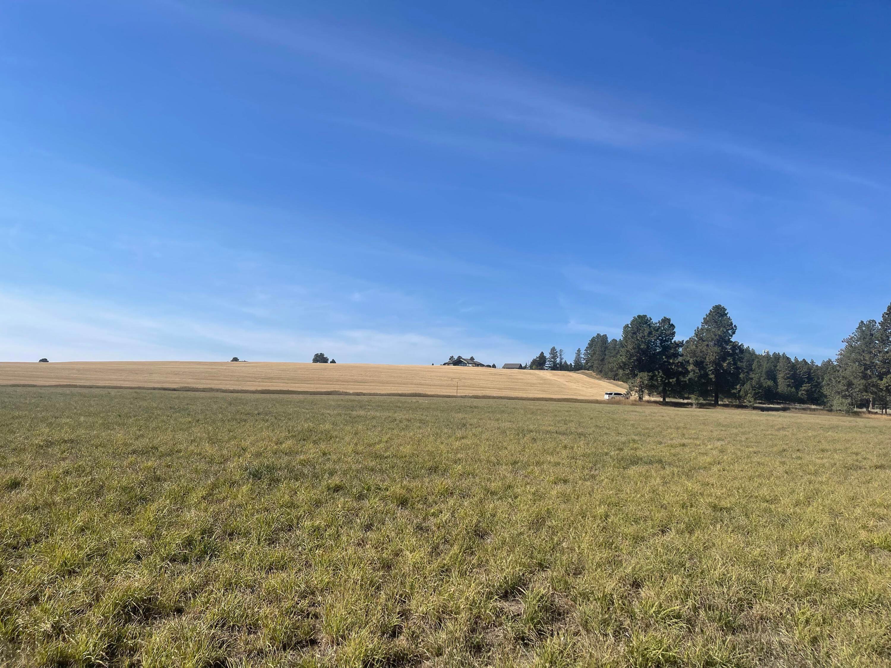 7. Land for Sale at Schrade Road, Kalispell, Montana 59901 United States
