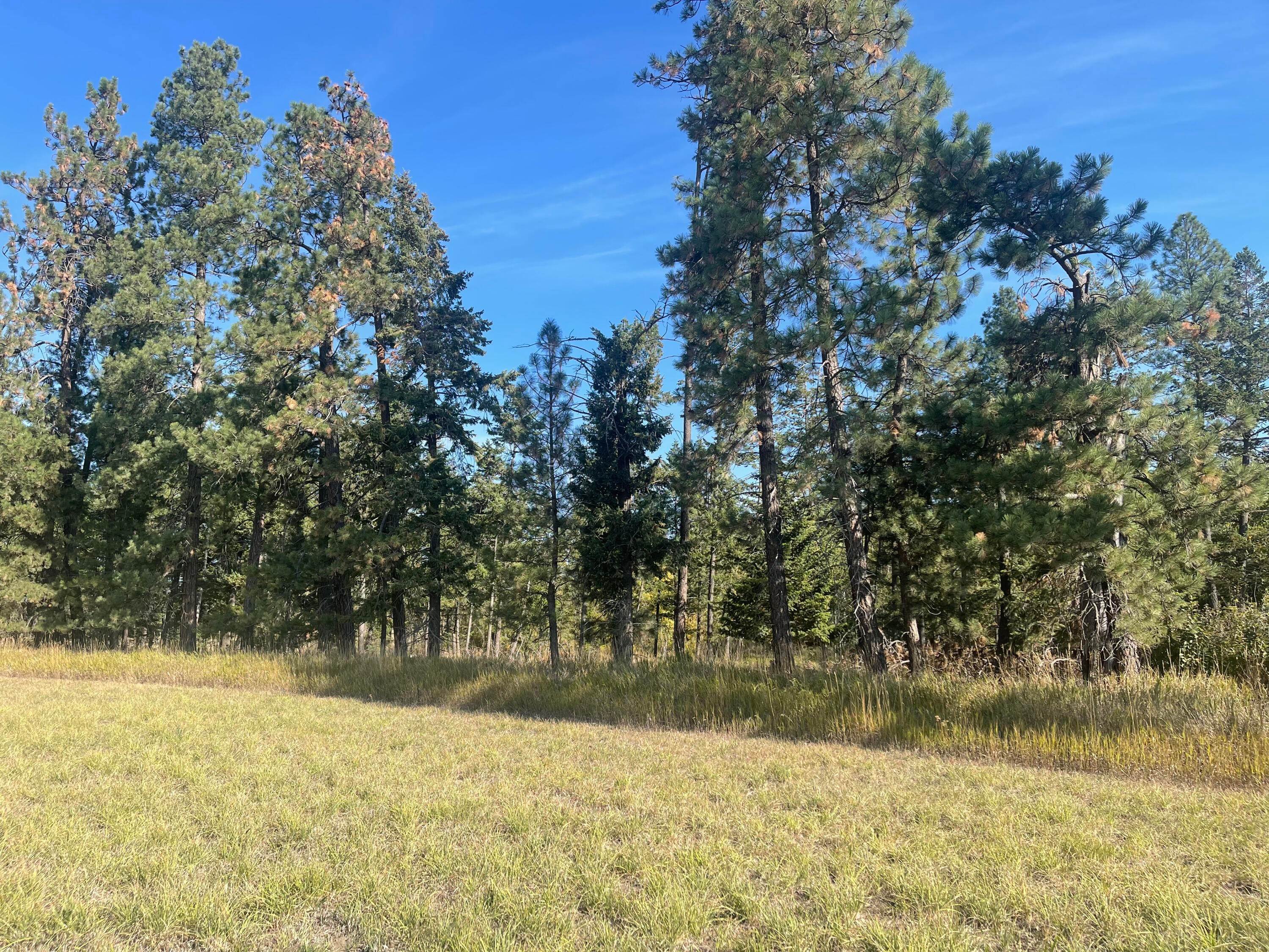 8. Land for Sale at Schrade Road, Kalispell, Montana 59901 United States