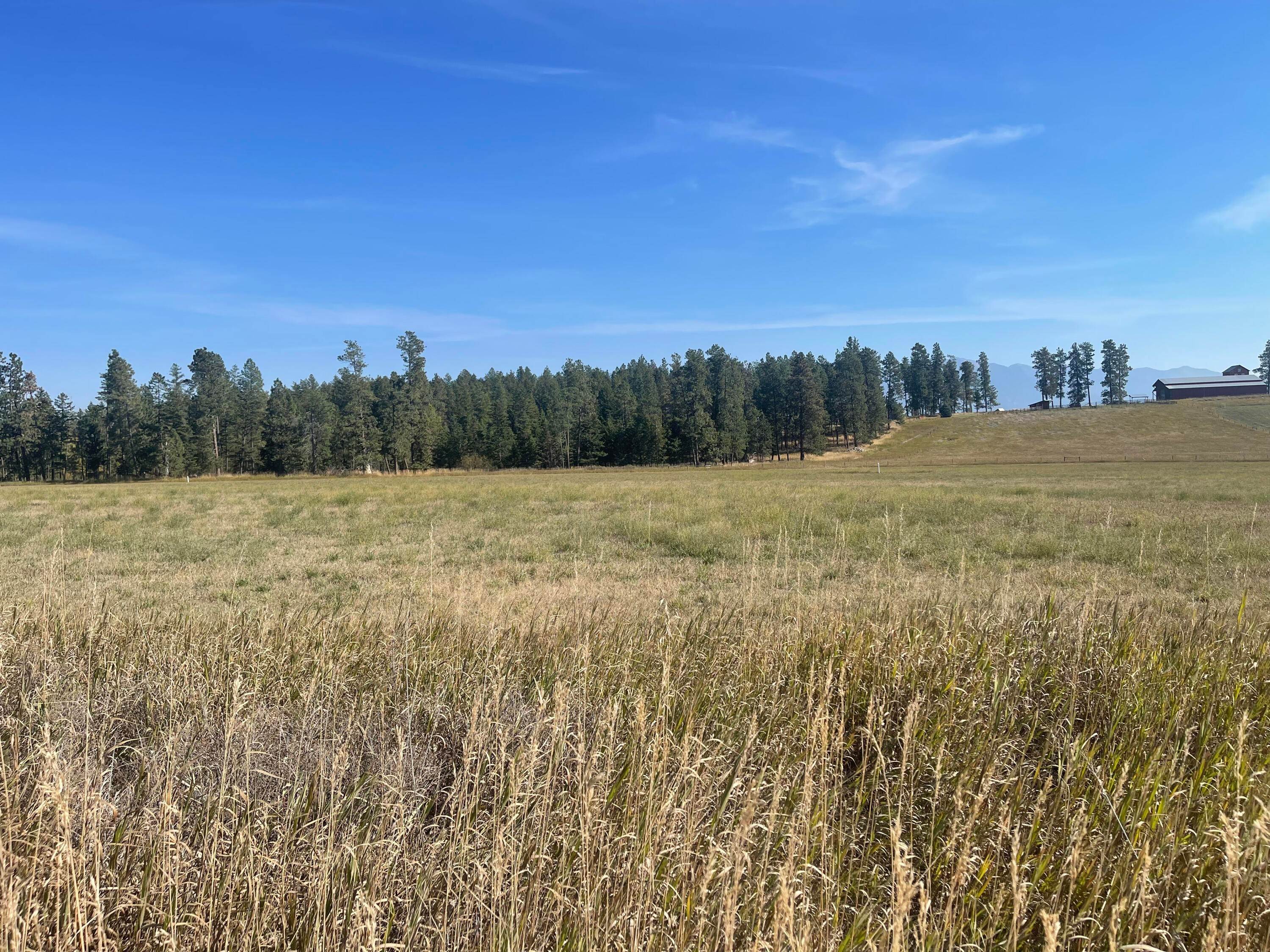 11. Land for Sale at Schrade Road, Kalispell, Montana 59901 United States