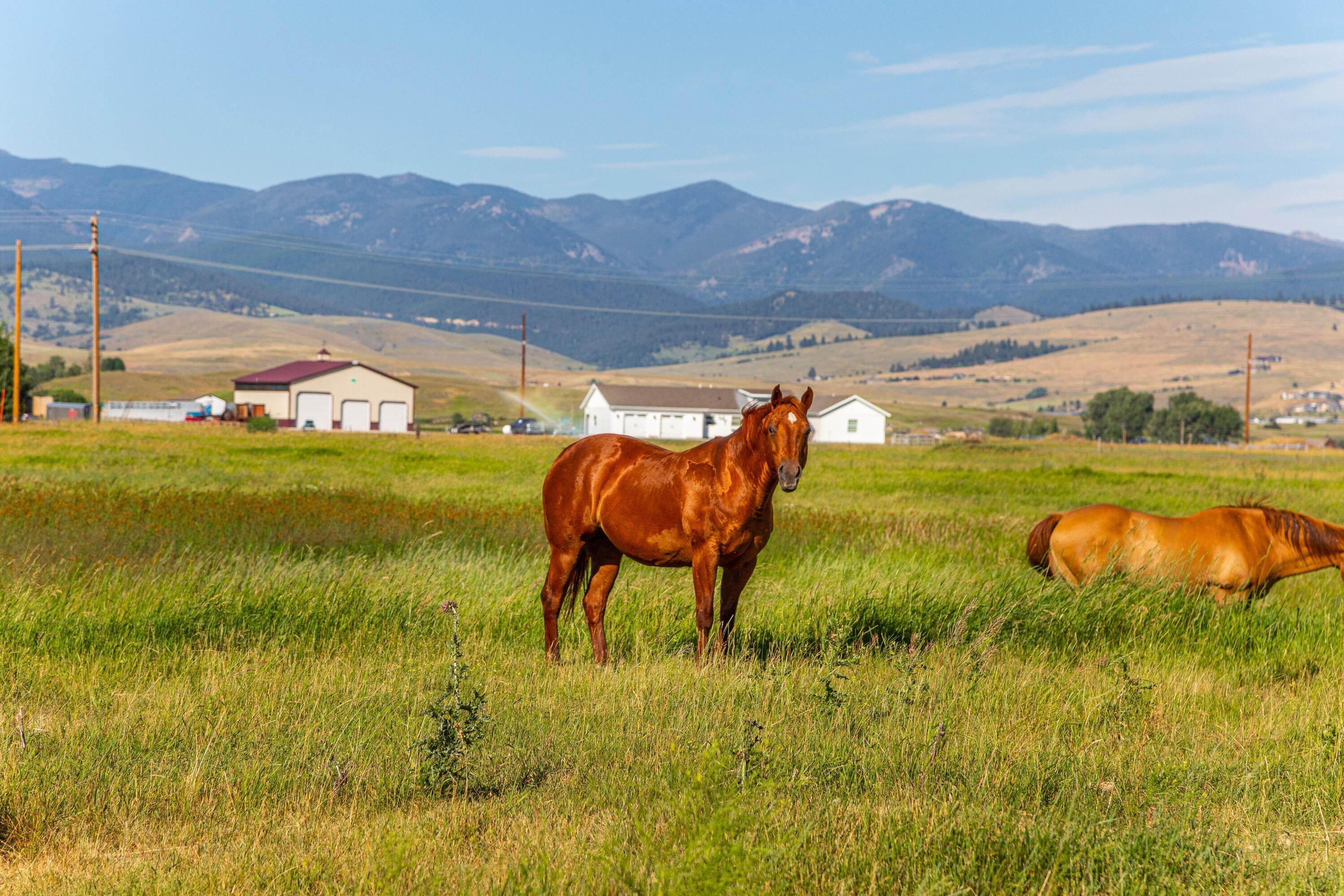 5. Land for Sale at Mallard Way, Missoula, Montana 59808 United States