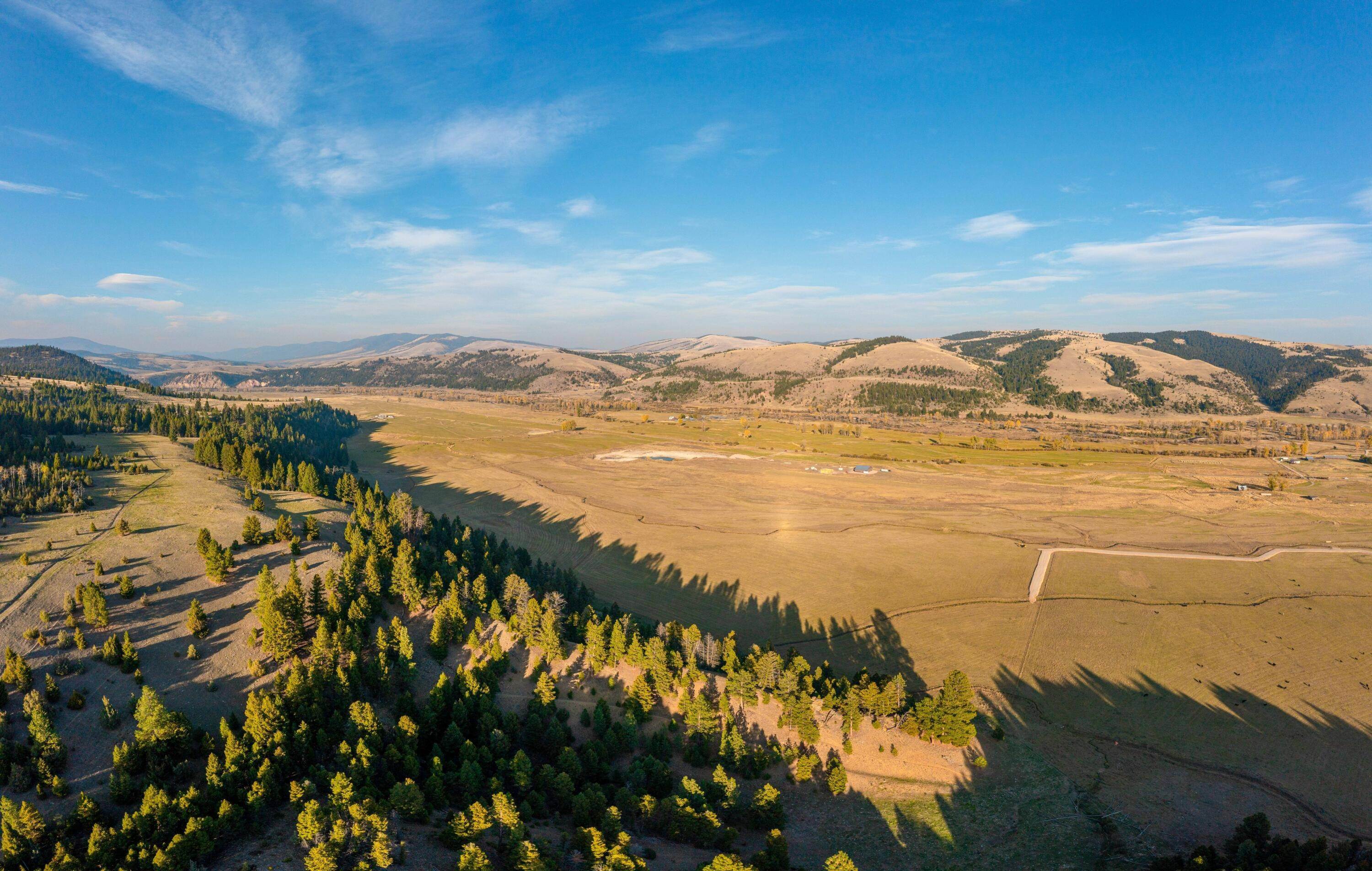 Land for Sale at 50 Puller Gulch Lane, Philipsburg, Montana 59858 United States