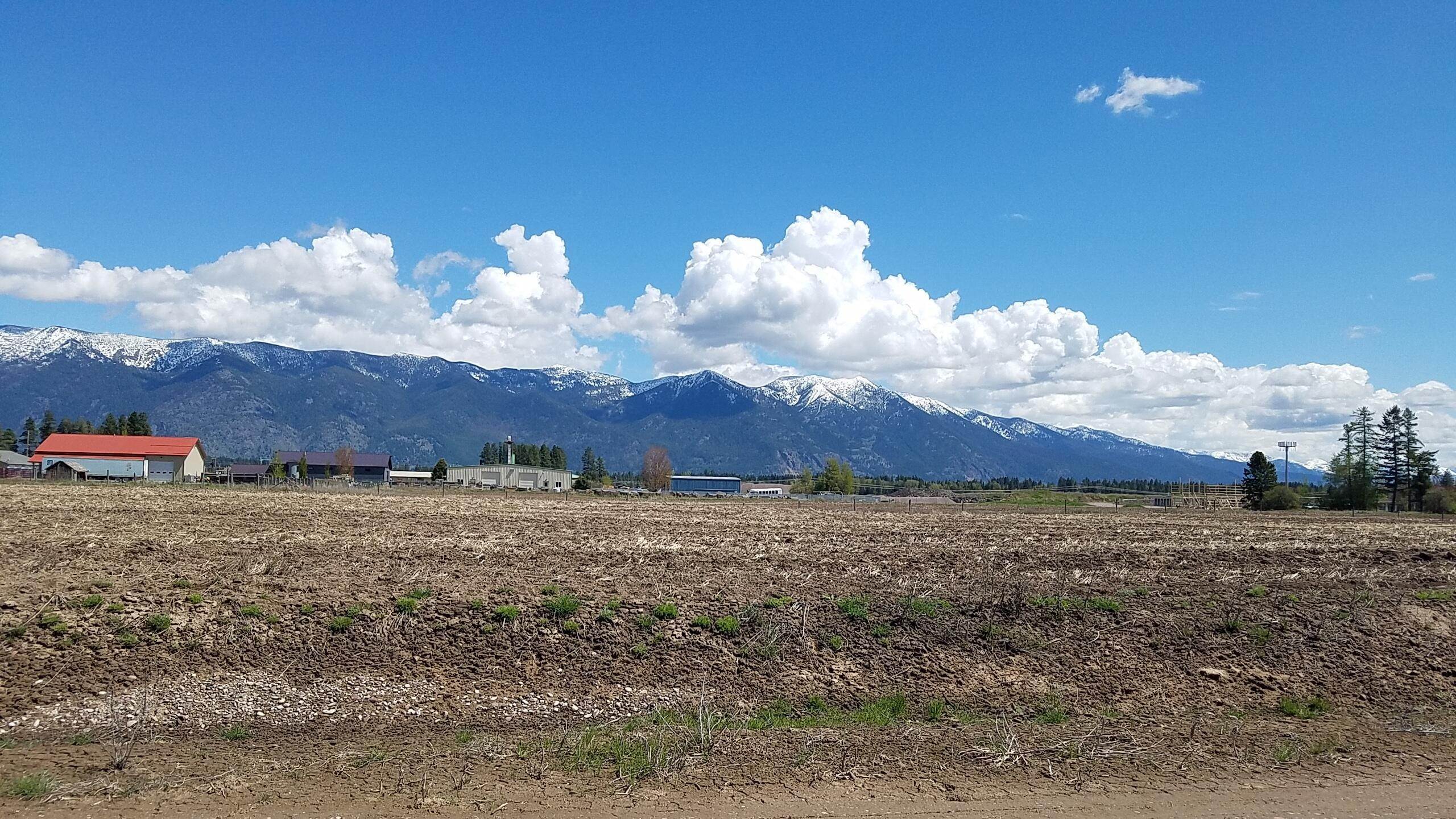 Land for Sale at Prospector Trail, Kalispell, Montana 59901 United States