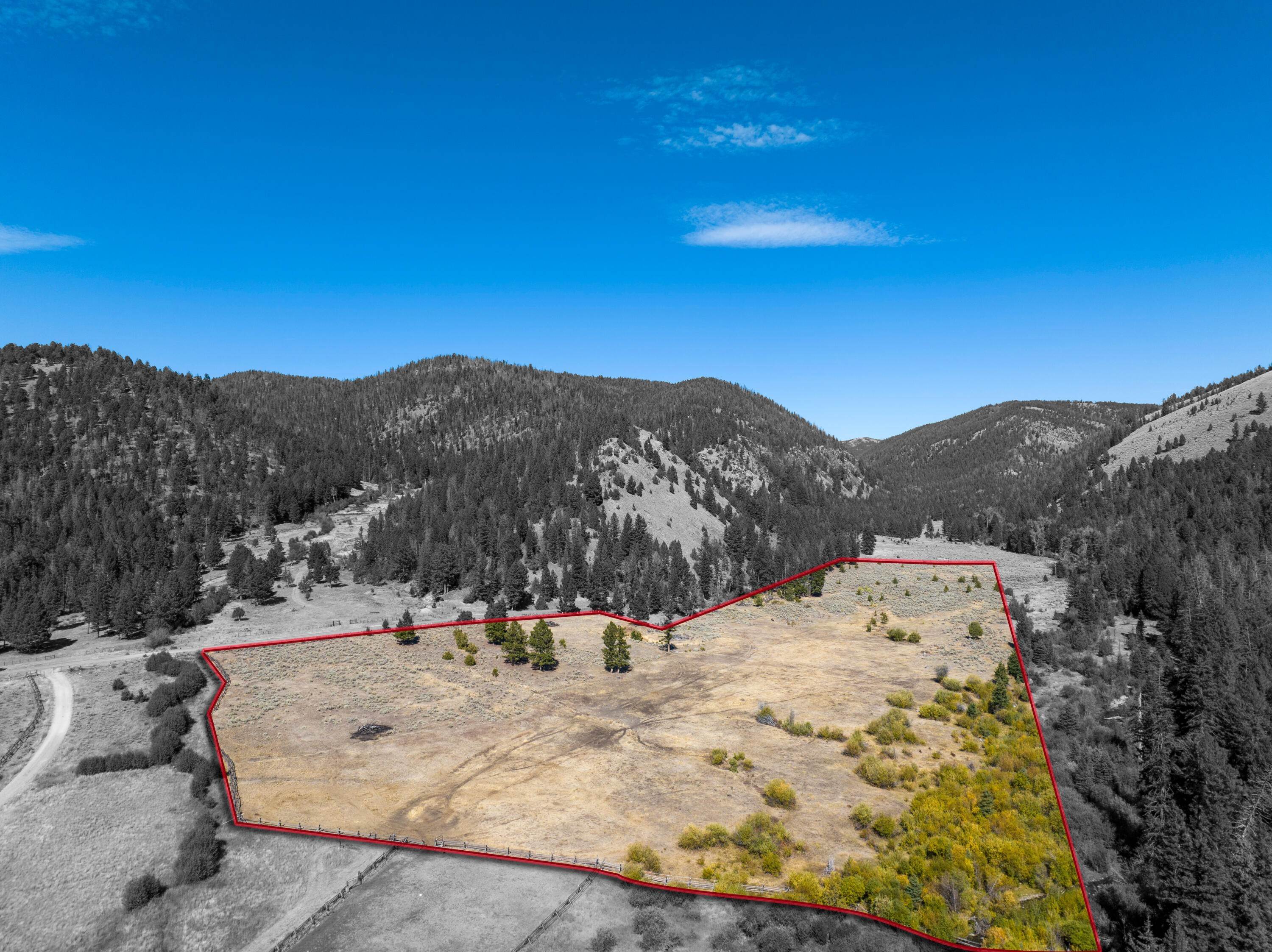 Land for Sale at Jerry Creek Road, Wise River, Montana 59762 United States
