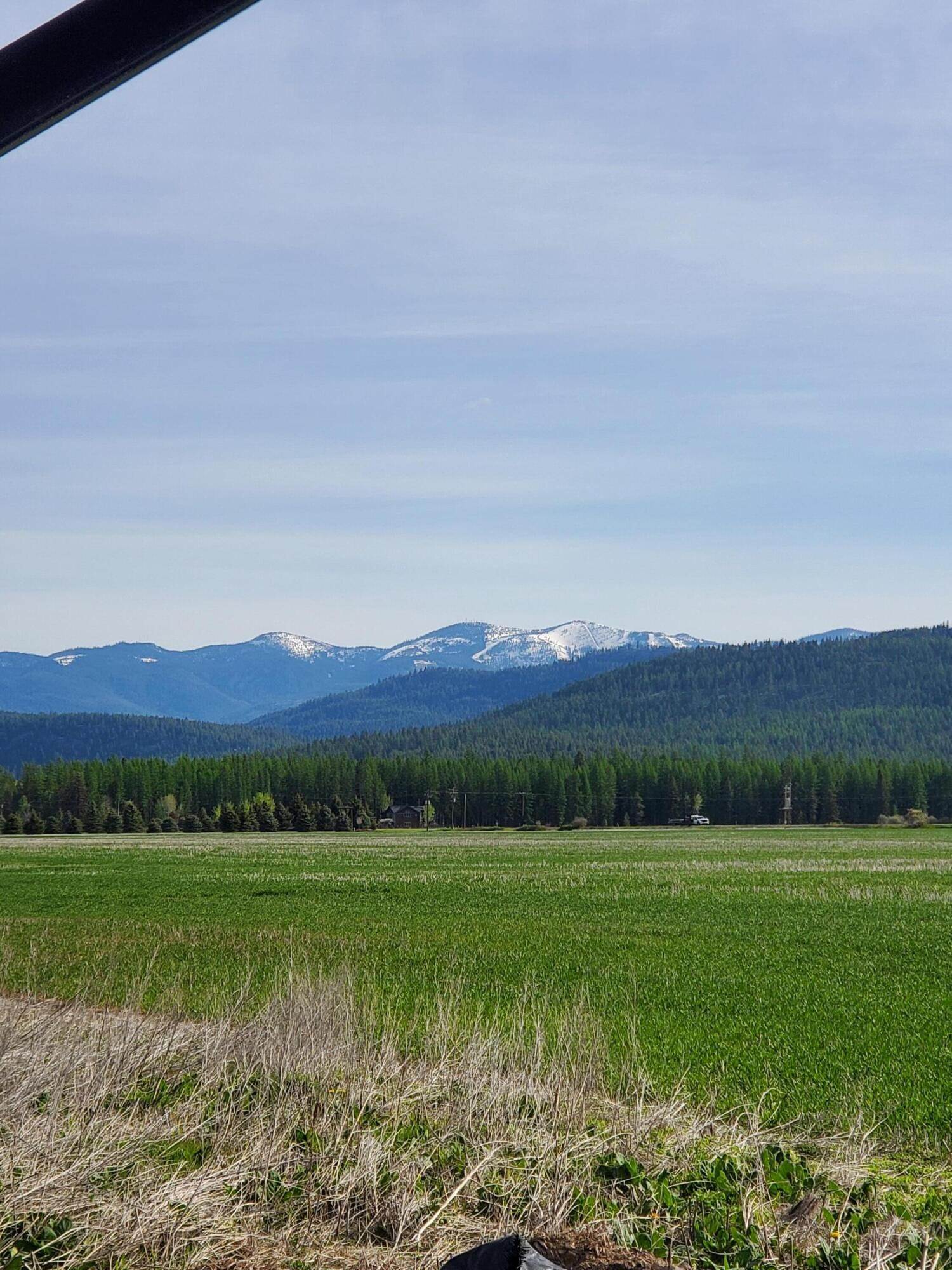14. Land for Sale at 410 Lodgepole Road, Whitefish, Montana 59937 United States