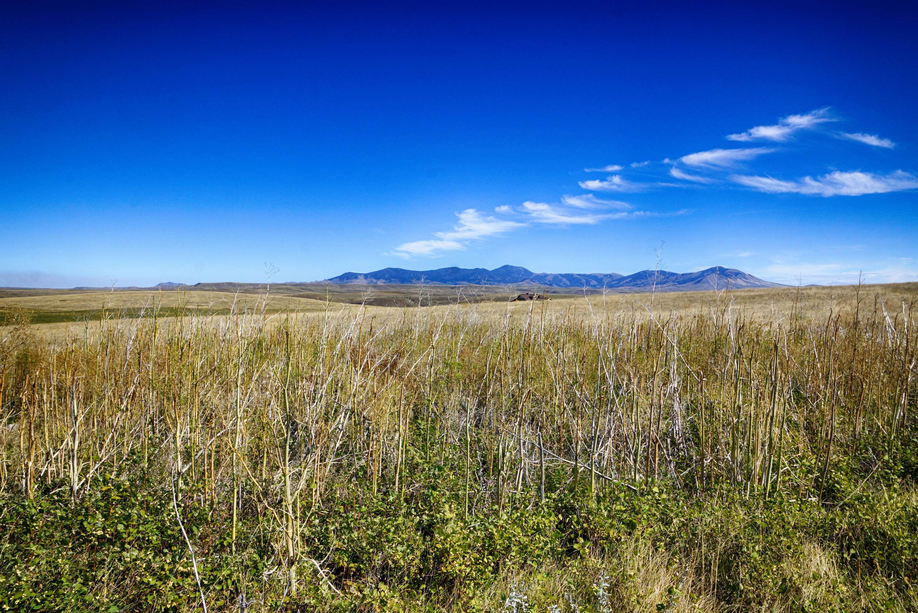8. Land for Sale at Rainbow Ridge, Belt, Montana 59412 United States