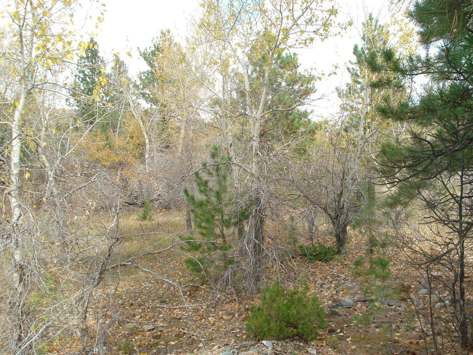 5. Land for Sale at Tbd Cottonwood Drive, Montana City, Montana 59634 United States