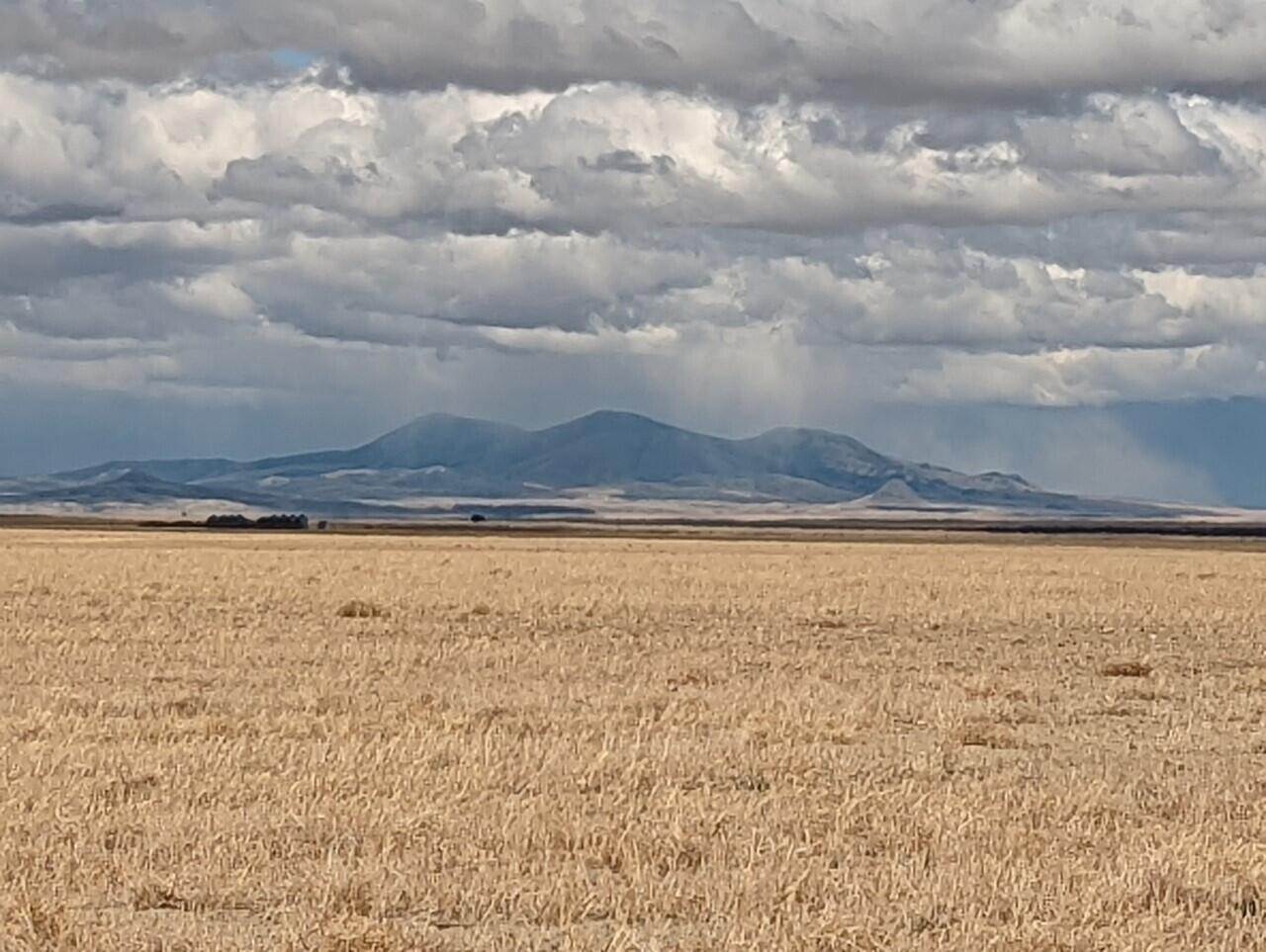 9. Farm for Sale at Nhn N Dunkirk Road, Shelby, Montana 59474 United States