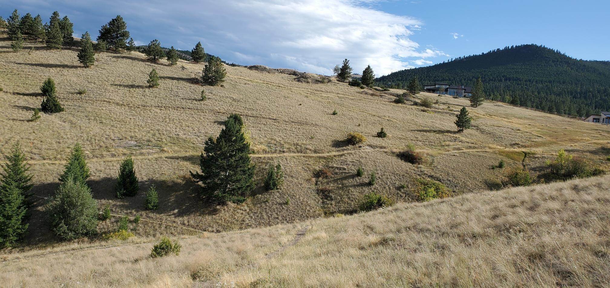 9. Land for Sale at Block 531 Highland & State Street, Helena, Montana 59601 United States