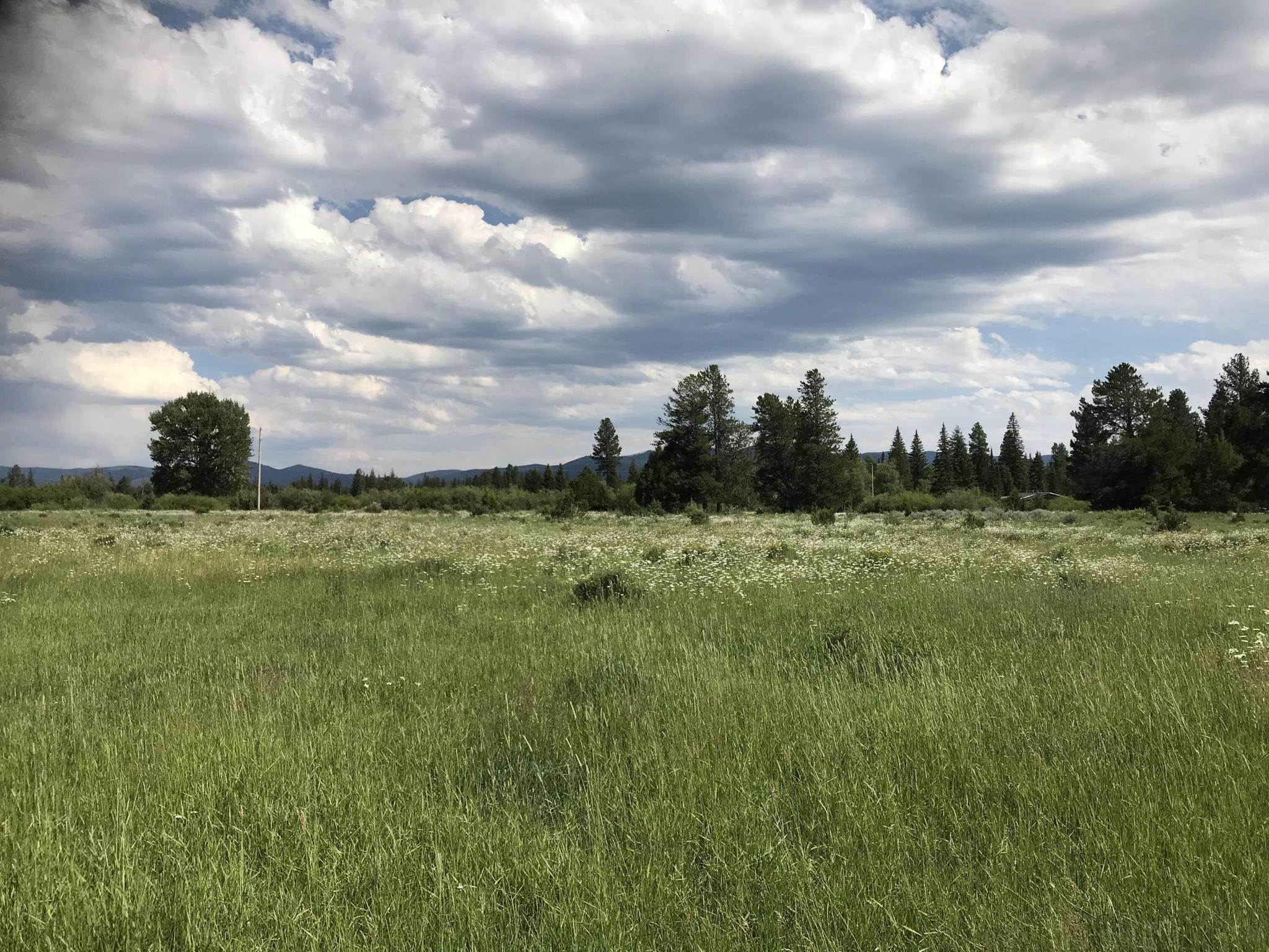 12. Land for Sale at Nhn Blackfoot Valley Ranch Road, Lincoln, Montana 59639 United States