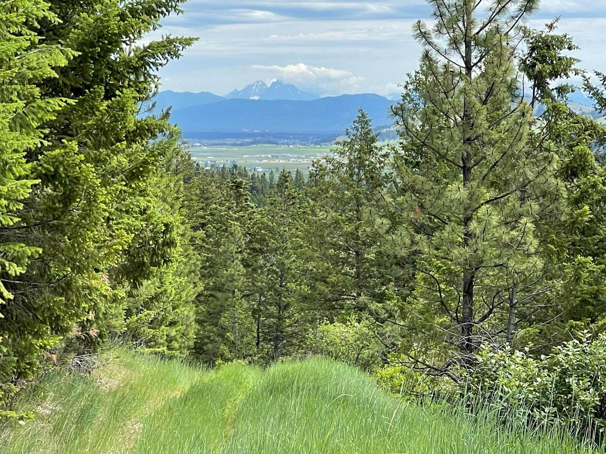 14. Land for Sale at Nhn Hwy 2 W, Kila, Montana 59920 United States