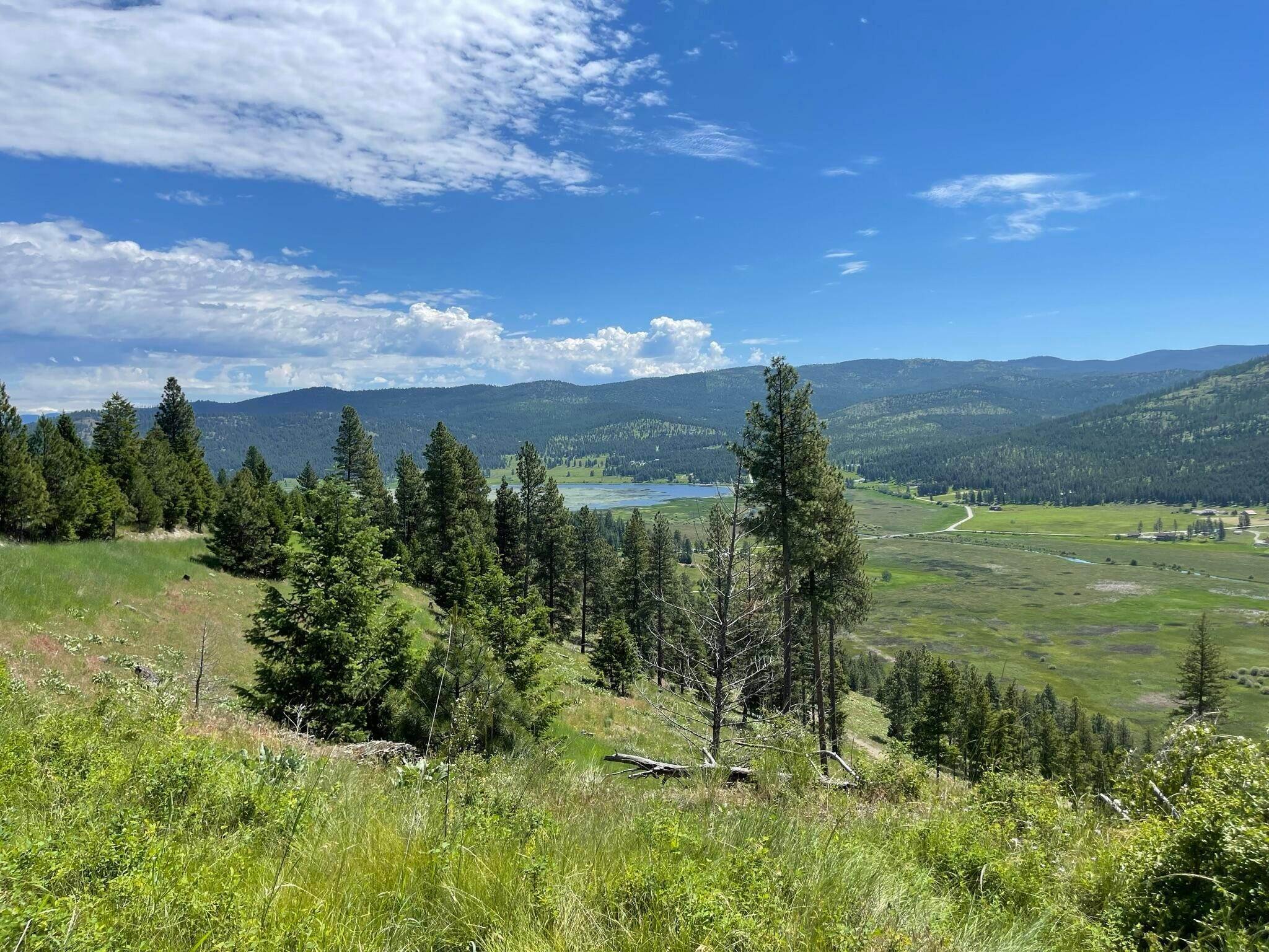 19. Land for Sale at Nhn Hwy 2 W, Kila, Montana 59920 United States