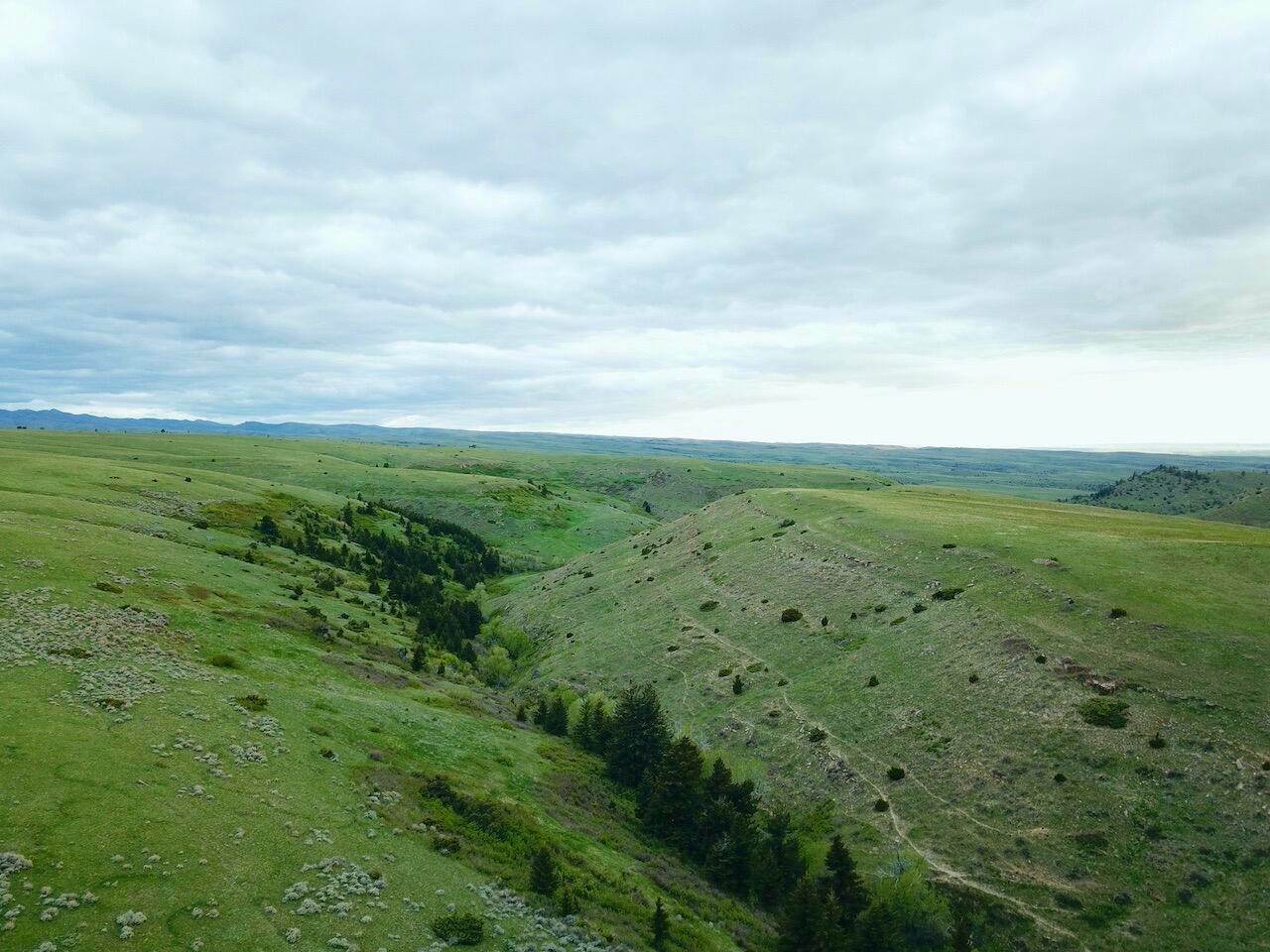 11. Land for Sale at Cow Face Hill Road, Reed Point, Montana 59069 United States