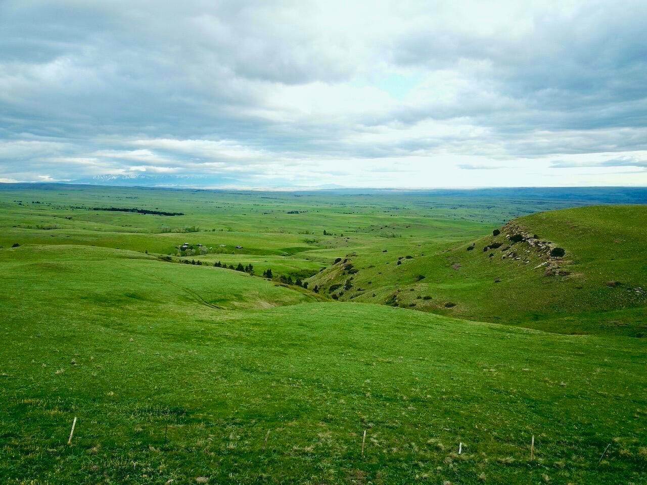 18. Land for Sale at Cow Face Hill Road, Reed Point, Montana 59069 United States