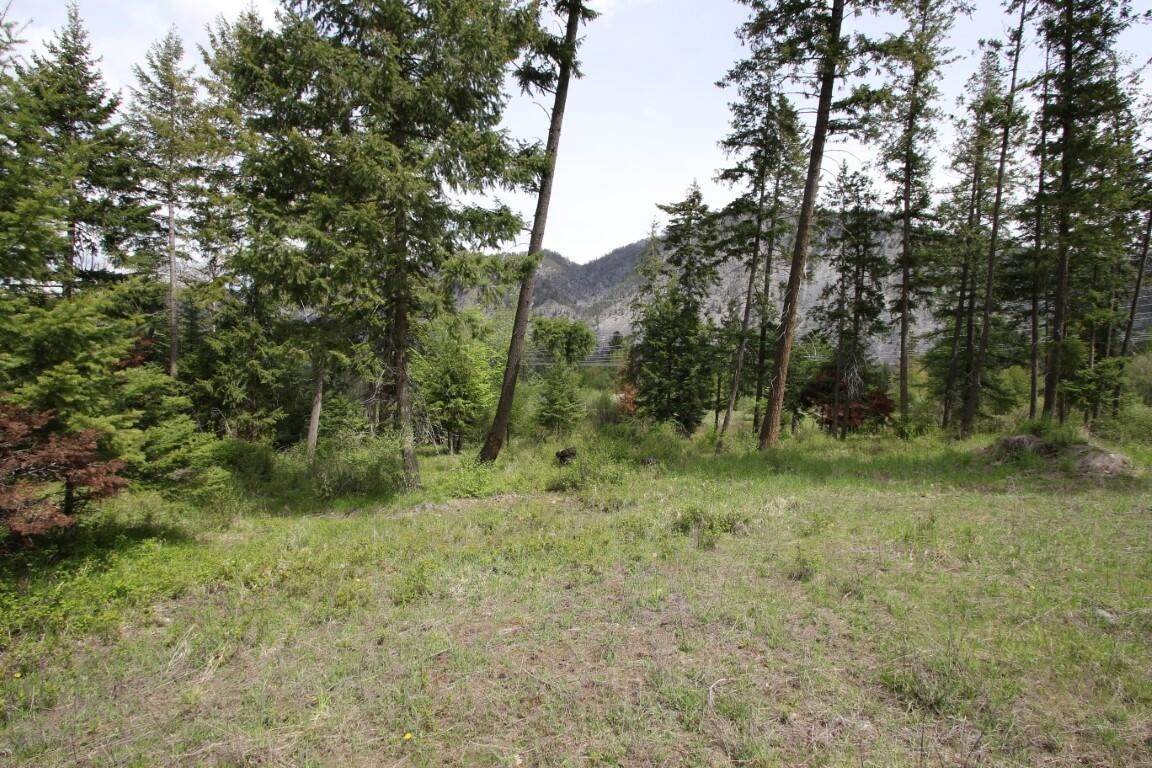 17. Land for Sale at Nhn River Road W, Plains, Montana 59859 United States