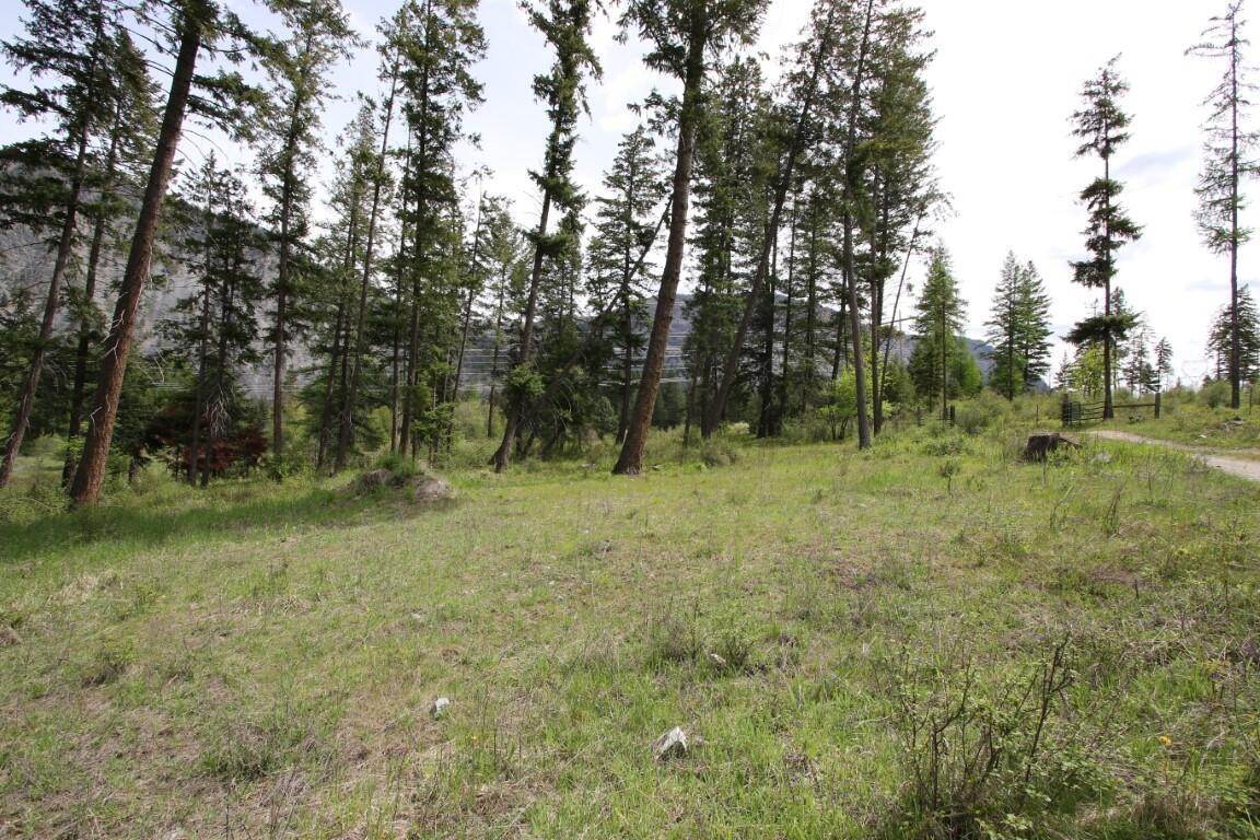 18. Land for Sale at Nhn River Road W, Plains, Montana 59859 United States