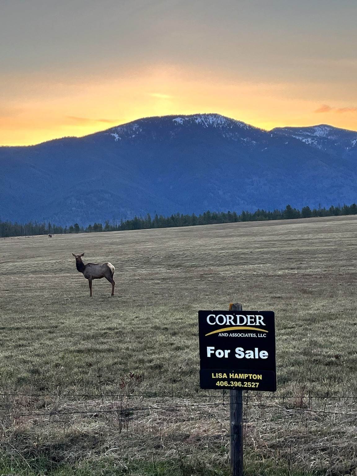 3. Land for Sale at 169 South Hill Road, Trout Creek, Montana 59874 United States