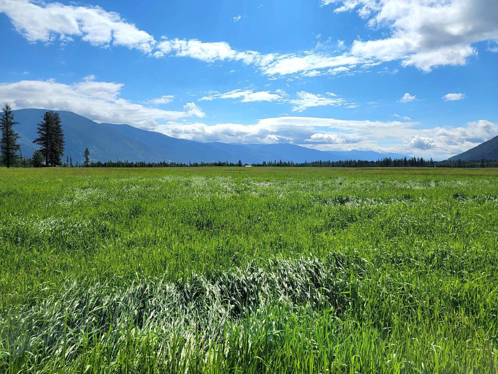 9. Land for Sale at 169 South Hill Road, Trout Creek, Montana 59874 United States