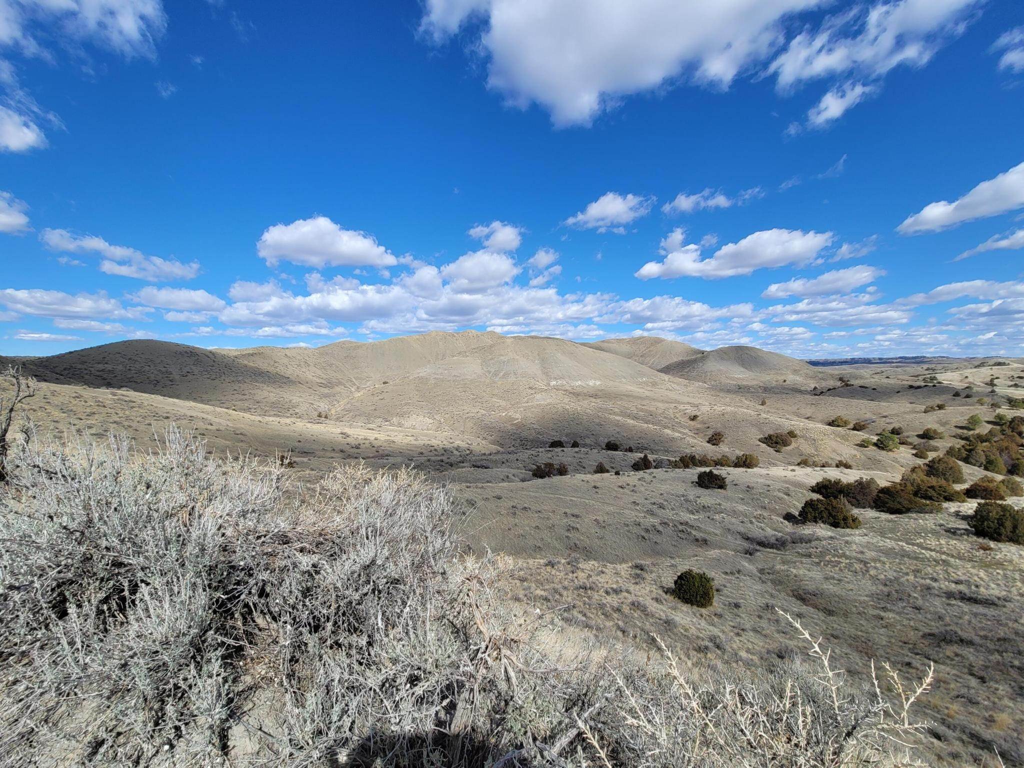 14. Land for Sale at Blue Creek Road, Billings, Montana 59101 United States
