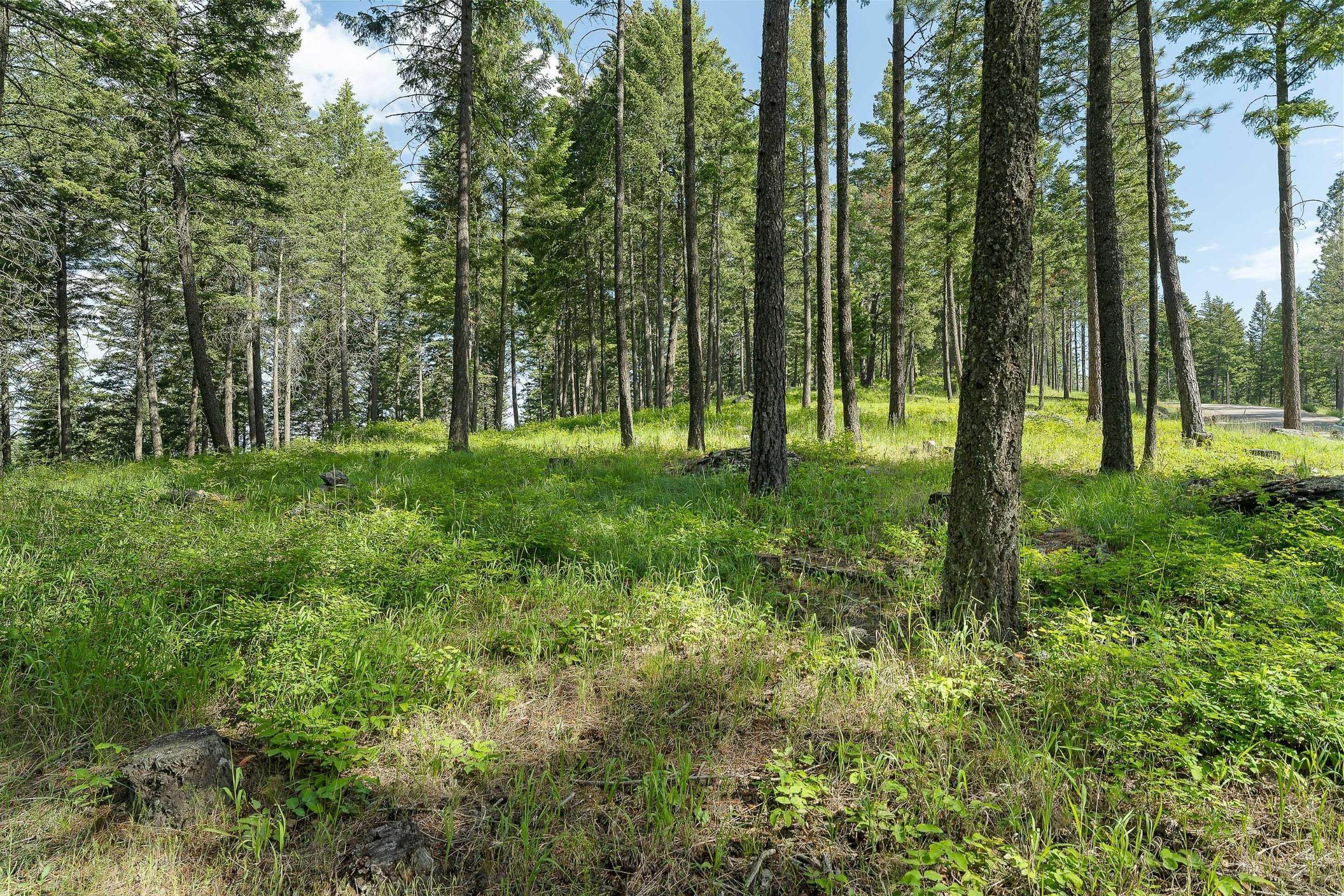 4. Land for Sale at 381 Chief Cliff Trail, Bigfork, Montana 59911 United States