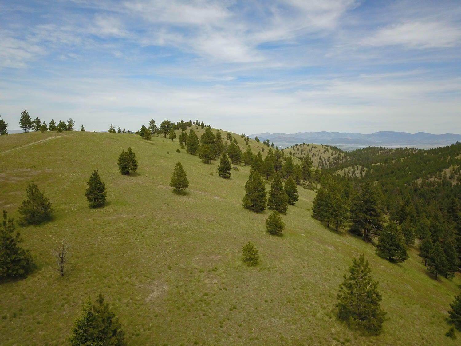 9. Land for Sale at Tbd Hwy 12 W, Helena, Montana 59601 United States