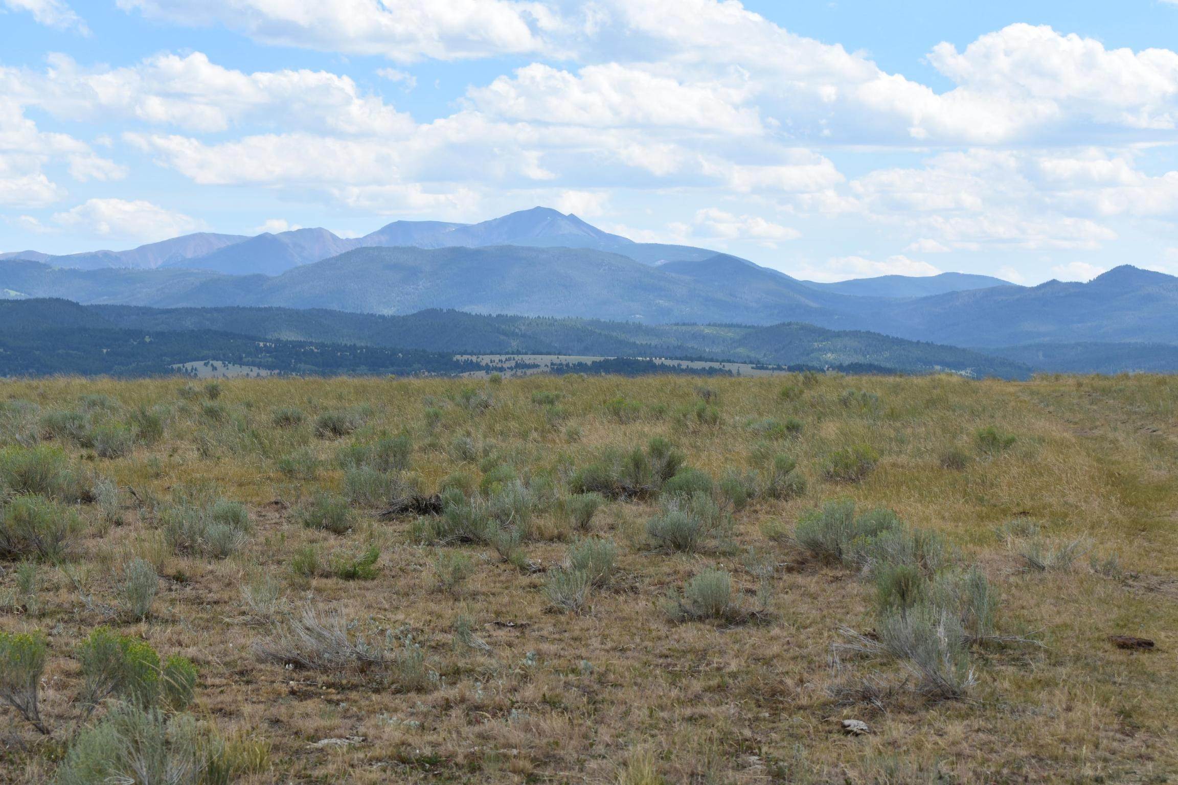 1. Land for Sale at Tbd Little Basin Creek Road, Butte, Montana 59701 United States