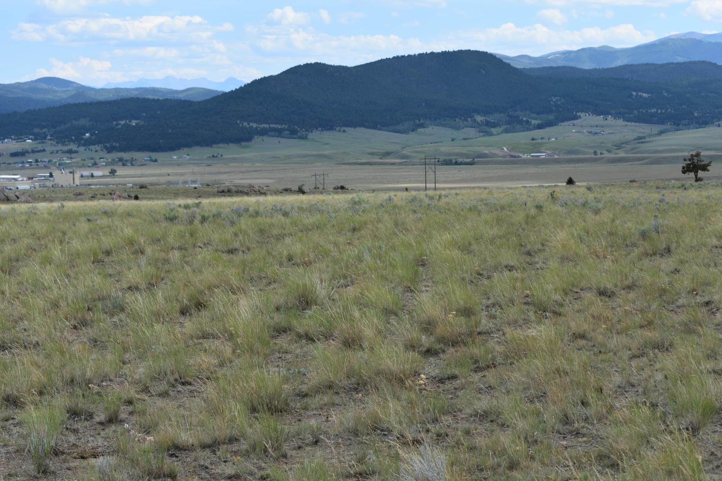 5. Land for Sale at Tbd Little Basin Creek Road, Butte, Montana 59701 United States