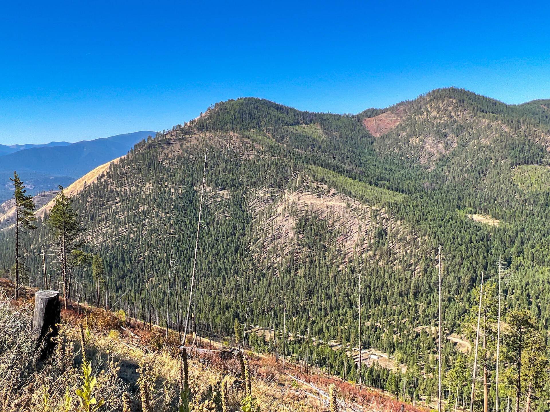 3. Land for Sale at 53 Firman Gulch Road, Superior, Montana 59872 United States