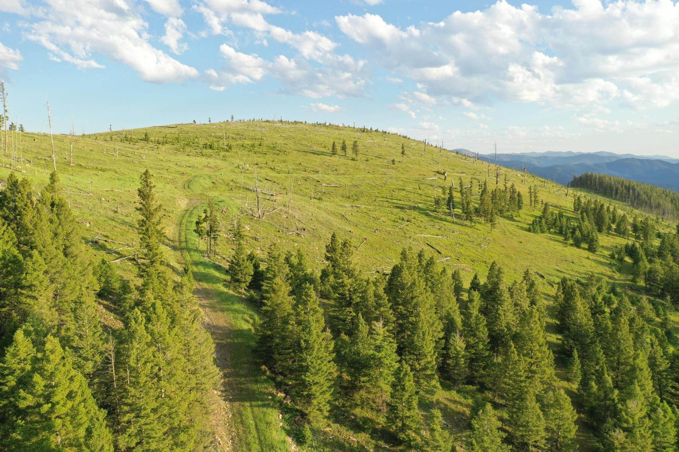 6. Land for Sale at 1 Tract, Garnet Range, Drummond, Montana 59825 United States