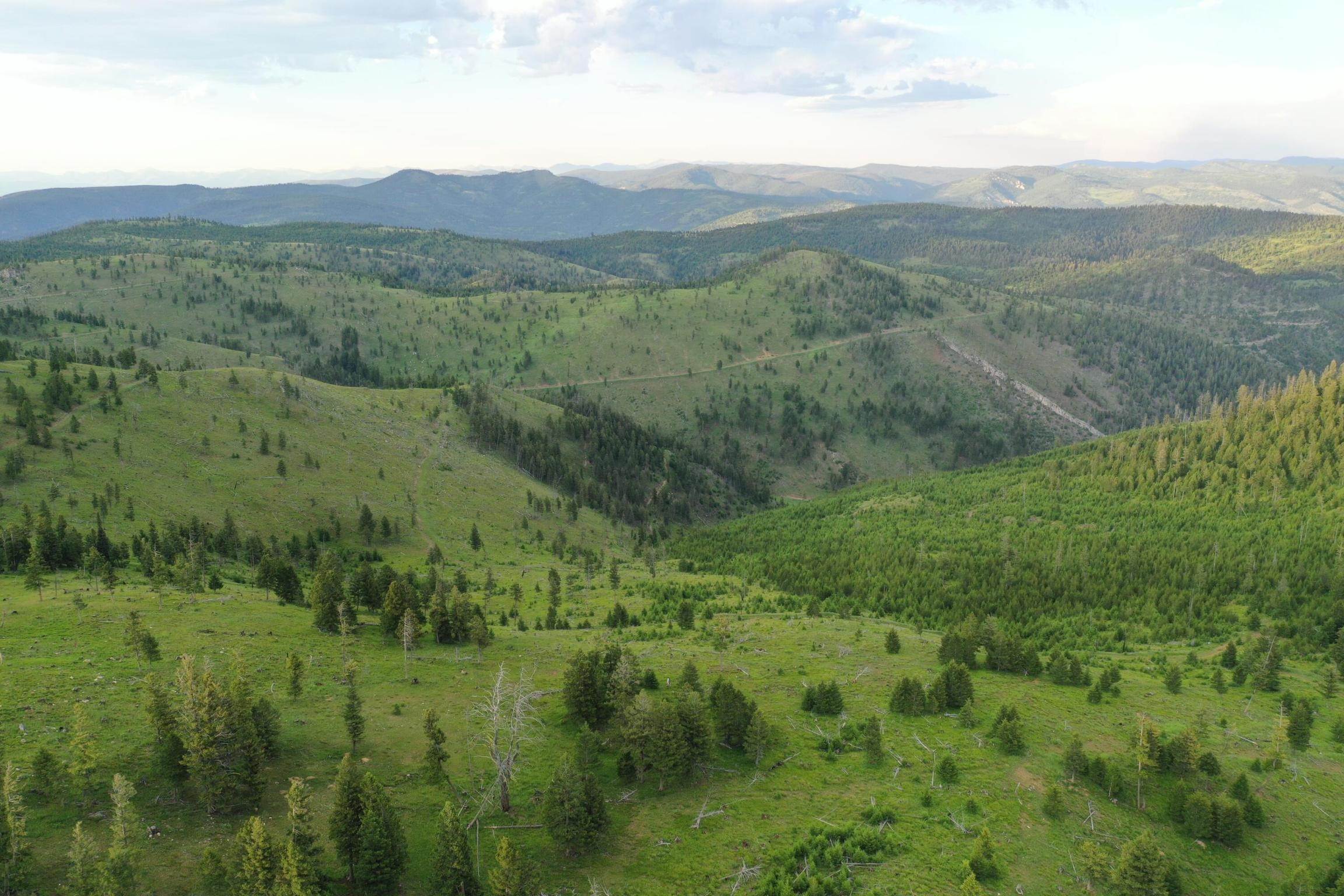 11. Land for Sale at 1 Tract, Garnet Range, Drummond, Montana 59825 United States