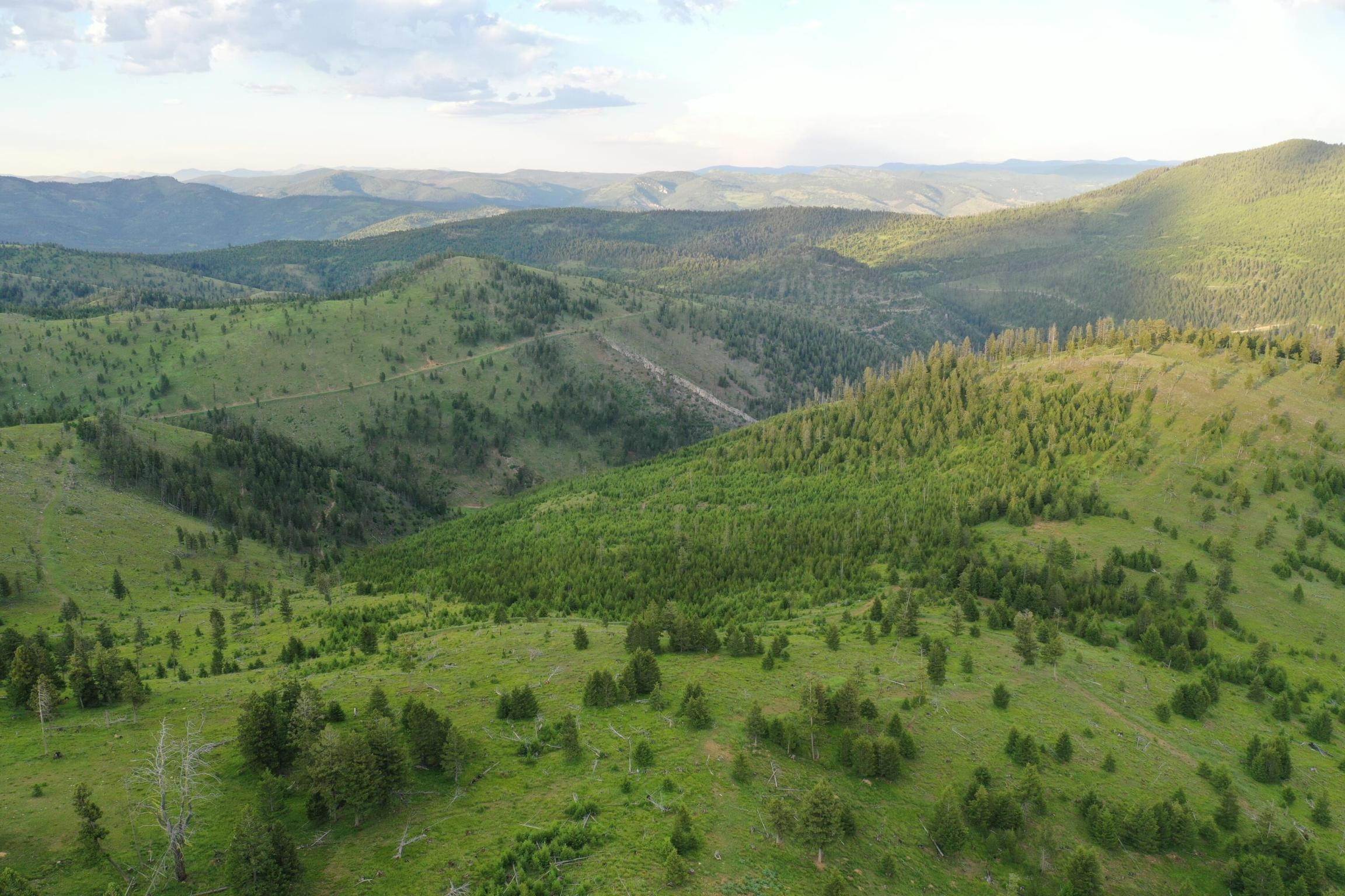 12. Land for Sale at 1 Tract, Garnet Range, Drummond, Montana 59825 United States