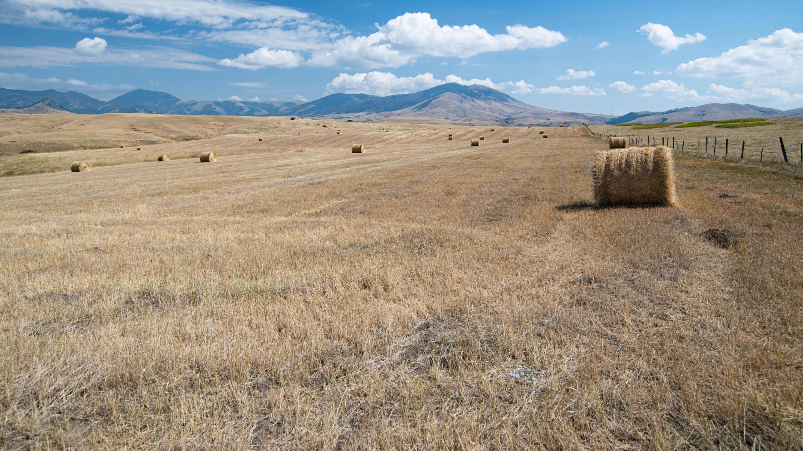11. Land for Sale at 80 Acres Cora Creek Road, Raynesford, Montana 59469 United States