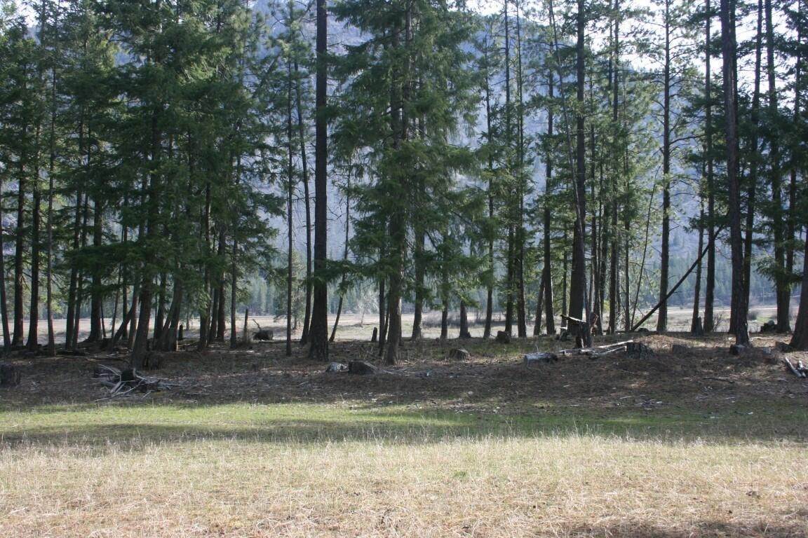 17. Land for Sale at Nhn Tract 1-D River Road W, Plains, Montana 59859 United States