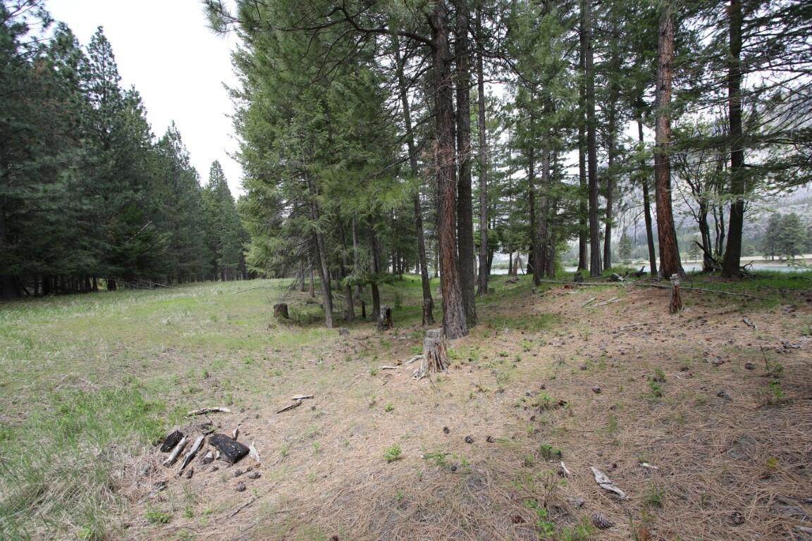 14. Land for Sale at Nhn Tract 1-D River Road W, Plains, Montana 59859 United States