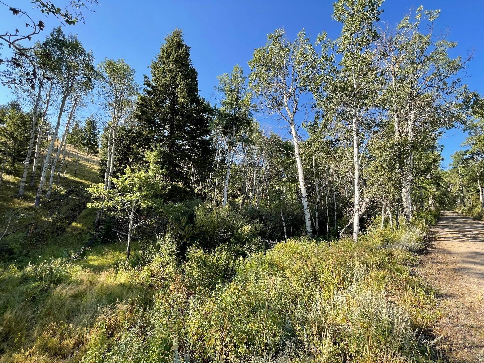 1. Land for Sale at 119120 Lone Pine Gulch Road, Ramsay, Montana 59748 United States