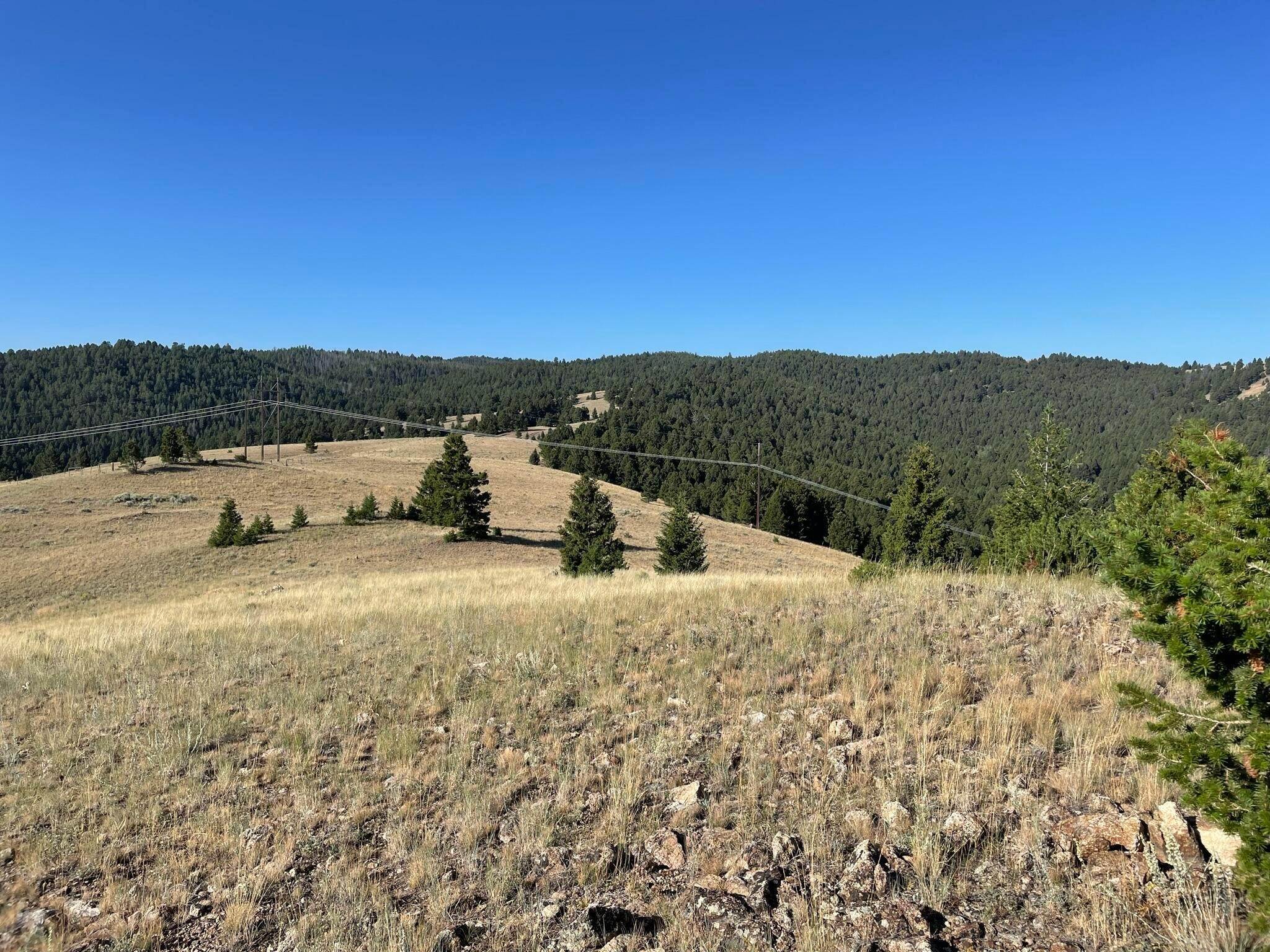 13. Land for Sale at 119120 Lone Pine Gulch Road, Ramsay, Montana 59748 United States