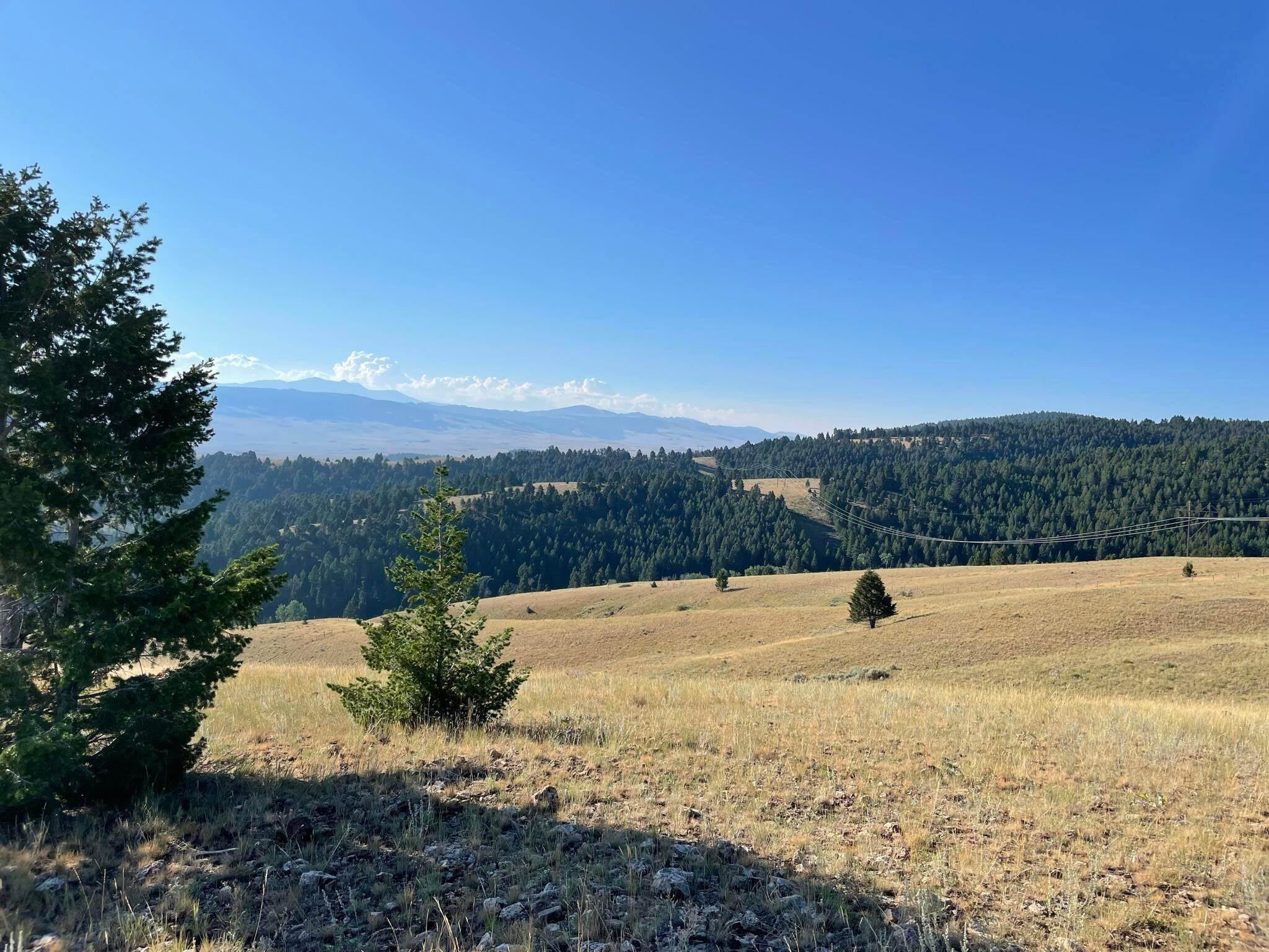 14. Land for Sale at 119120 Lone Pine Gulch Road, Ramsay, Montana 59748 United States