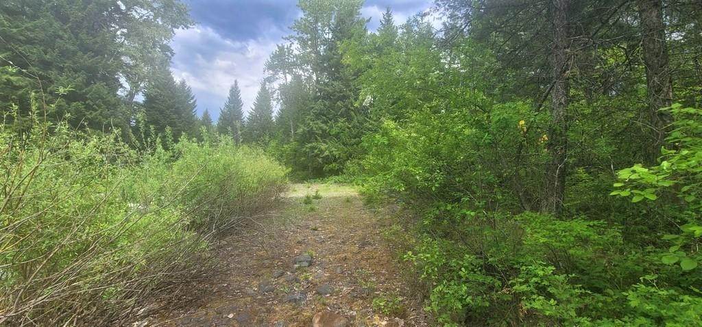 15. Land for Sale at Tbd, Lot 3 Parmenter Road, Libby, Montana 59923 United States
