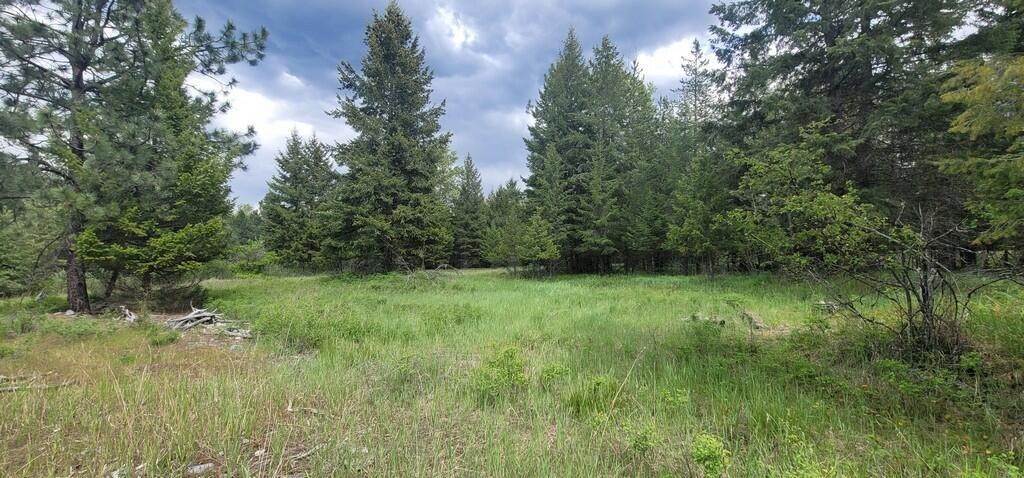 11. Land for Sale at Tbd, Lot 3 Parmenter Road, Libby, Montana 59923 United States