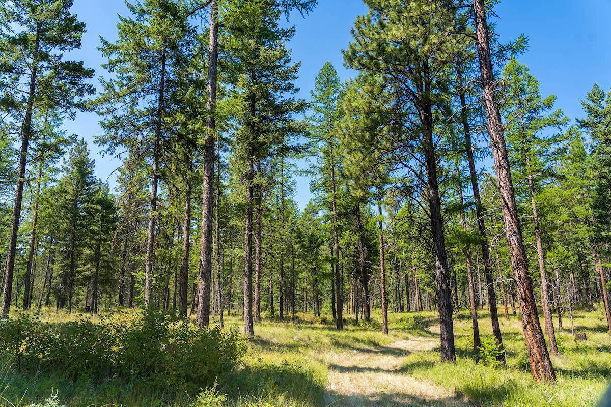 10. Land for Sale at 6870 Us Hwy 93 S, Lakeside, Montana 59922 United States