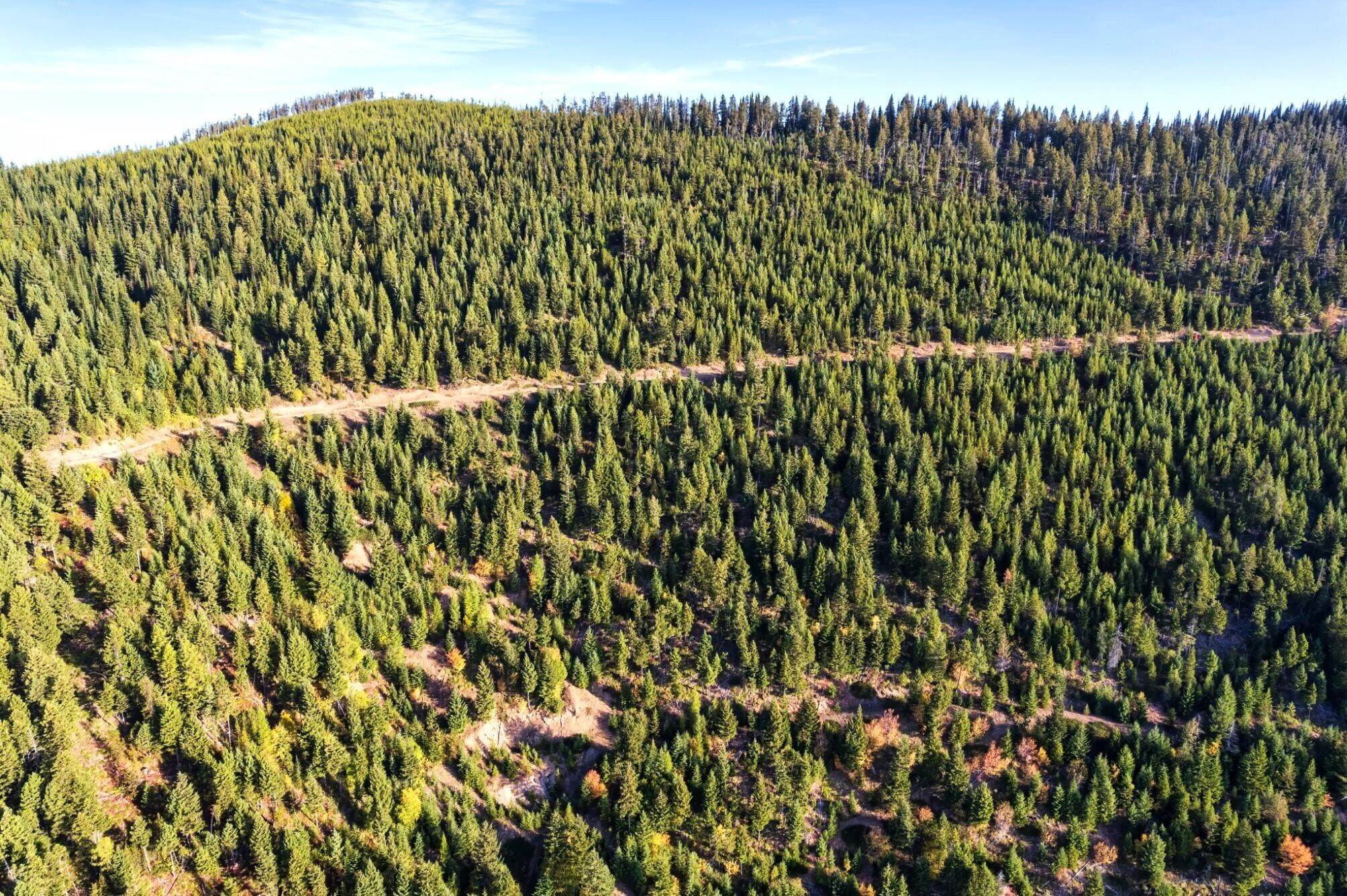 13. Land for Sale at Tbd Pardee Creek Road, Superior, Montana 59872 United States