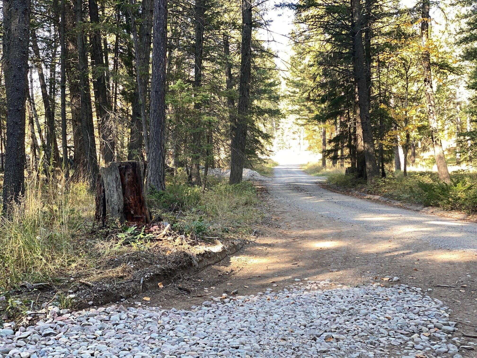 9. Land for Sale at 1340 Mooring Meadow Road, Columbia Falls, Montana 59912 United States