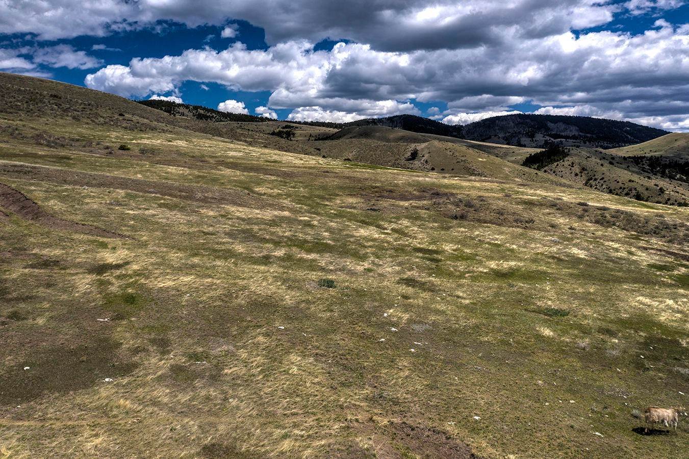 15. Land for Sale at Nhn Edwards Gulch Road, Drummond, Montana 59832 United States
