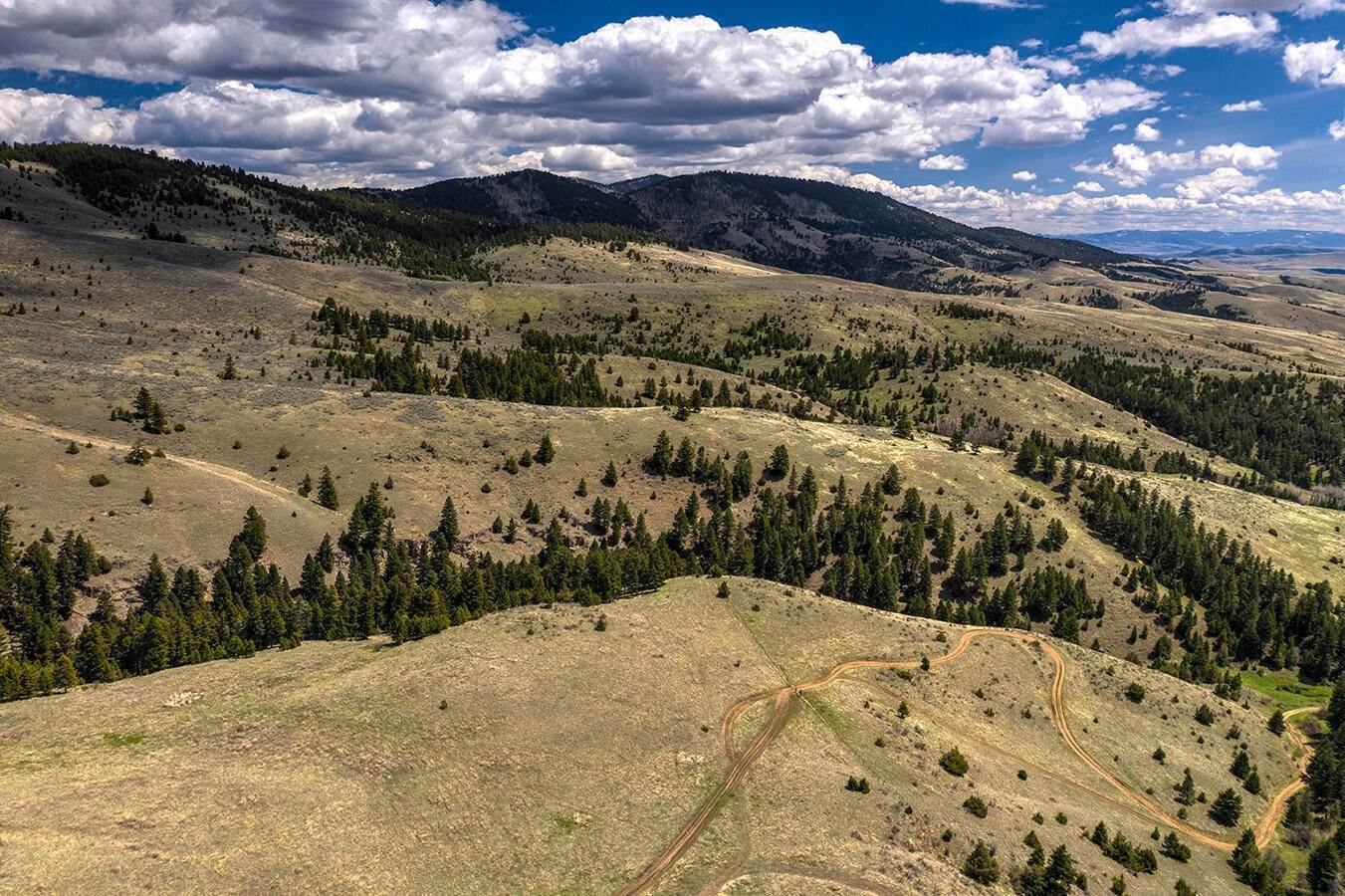 17. Land for Sale at Nhn Edwards Gulch Road, Drummond, Montana 59832 United States