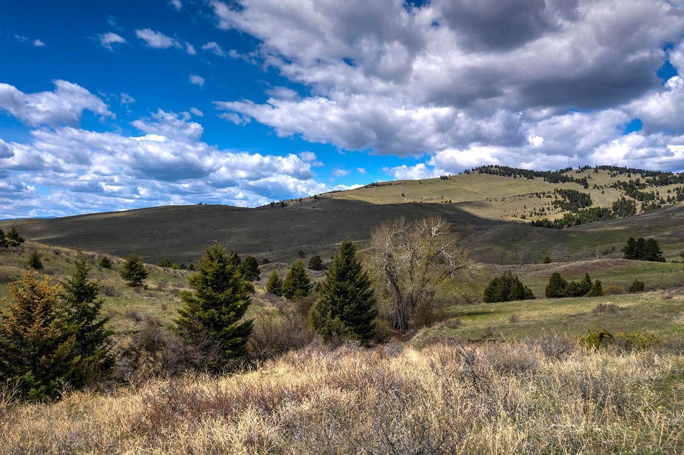 6. Land for Sale at Nhn Edwards Gulch Road, Drummond, Montana 59832 United States