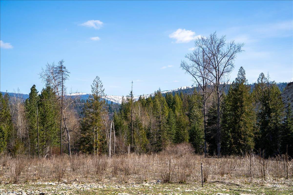 9. Single Family Homes for Sale at 420 St Regis Road, Troy, Montana 59935 United States