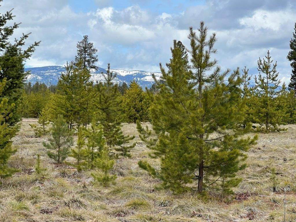 19. Land for Sale at 281 Daisy Lane, Seeley Lake, Montana 59868 United States