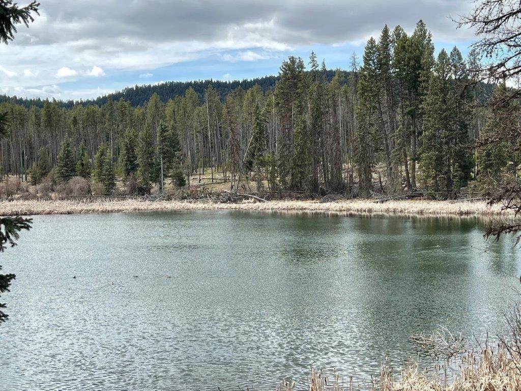 5. Land for Sale at 281 Daisy Lane, Seeley Lake, Montana 59868 United States
