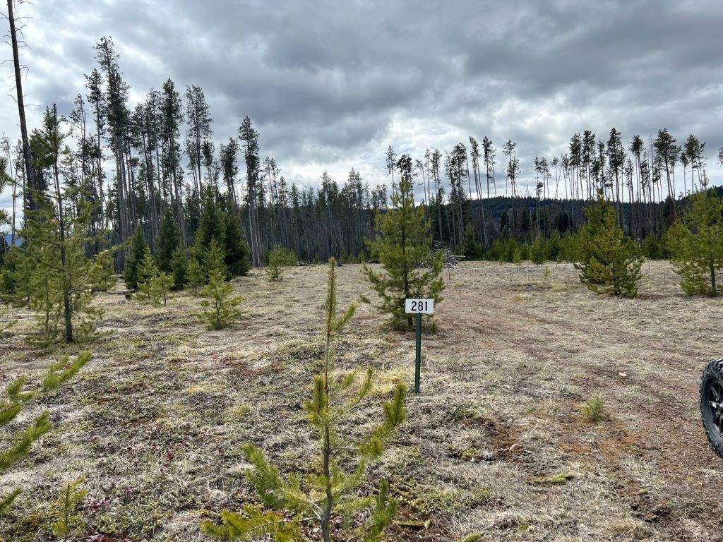 13. Land for Sale at 281 Daisy Lane, Seeley Lake, Montana 59868 United States